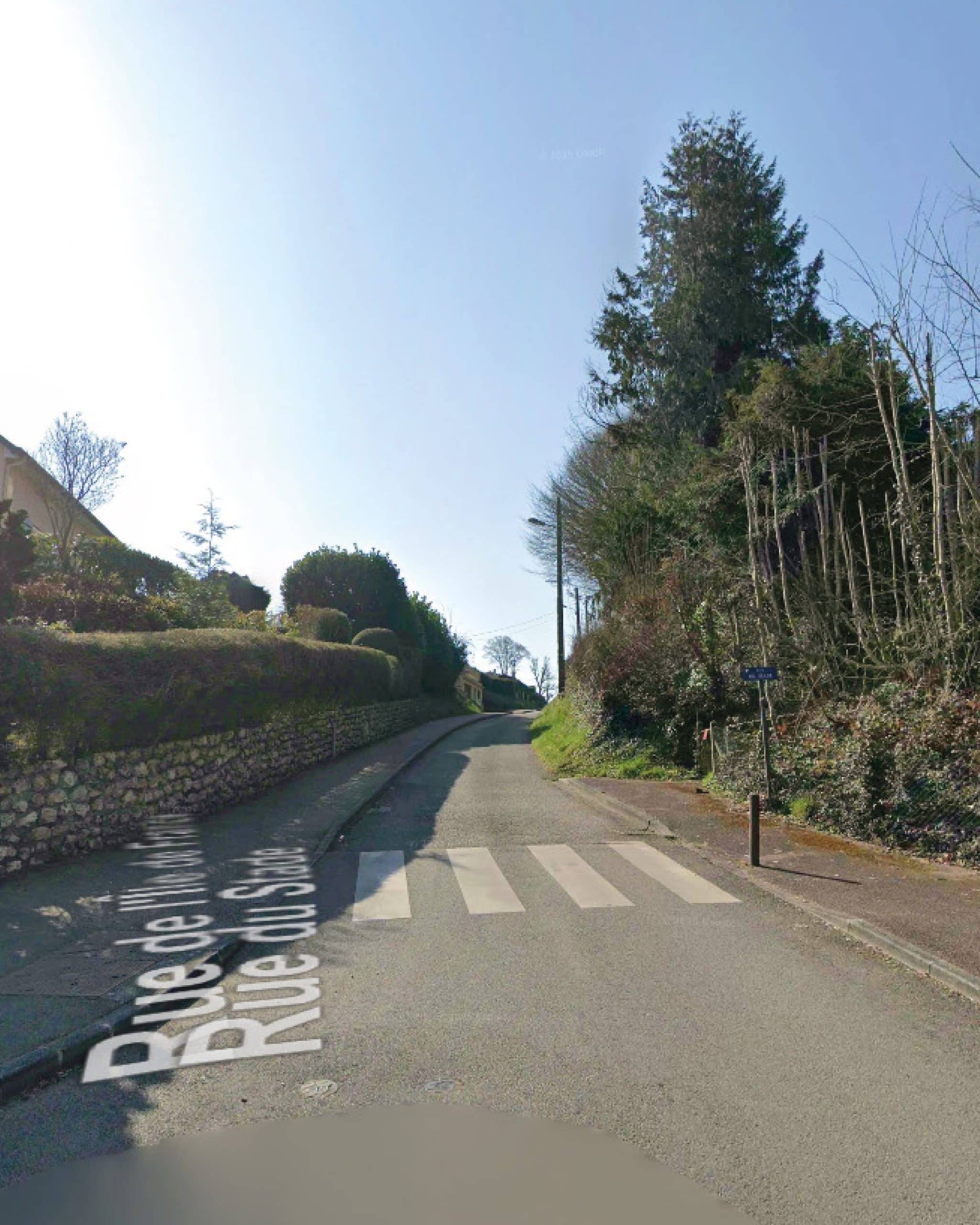 19022026-travaux elagage web