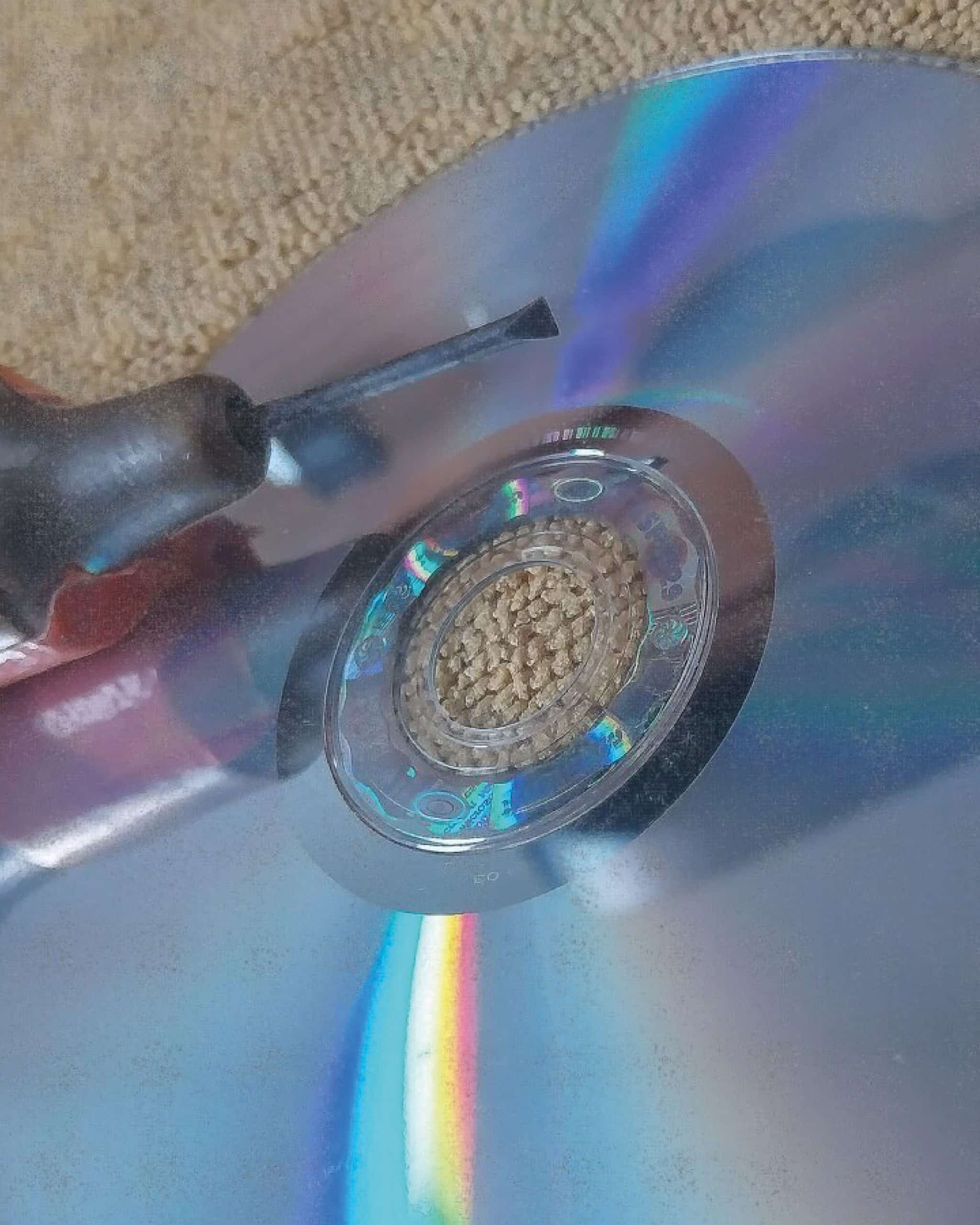 22042026-atelier gravure CD