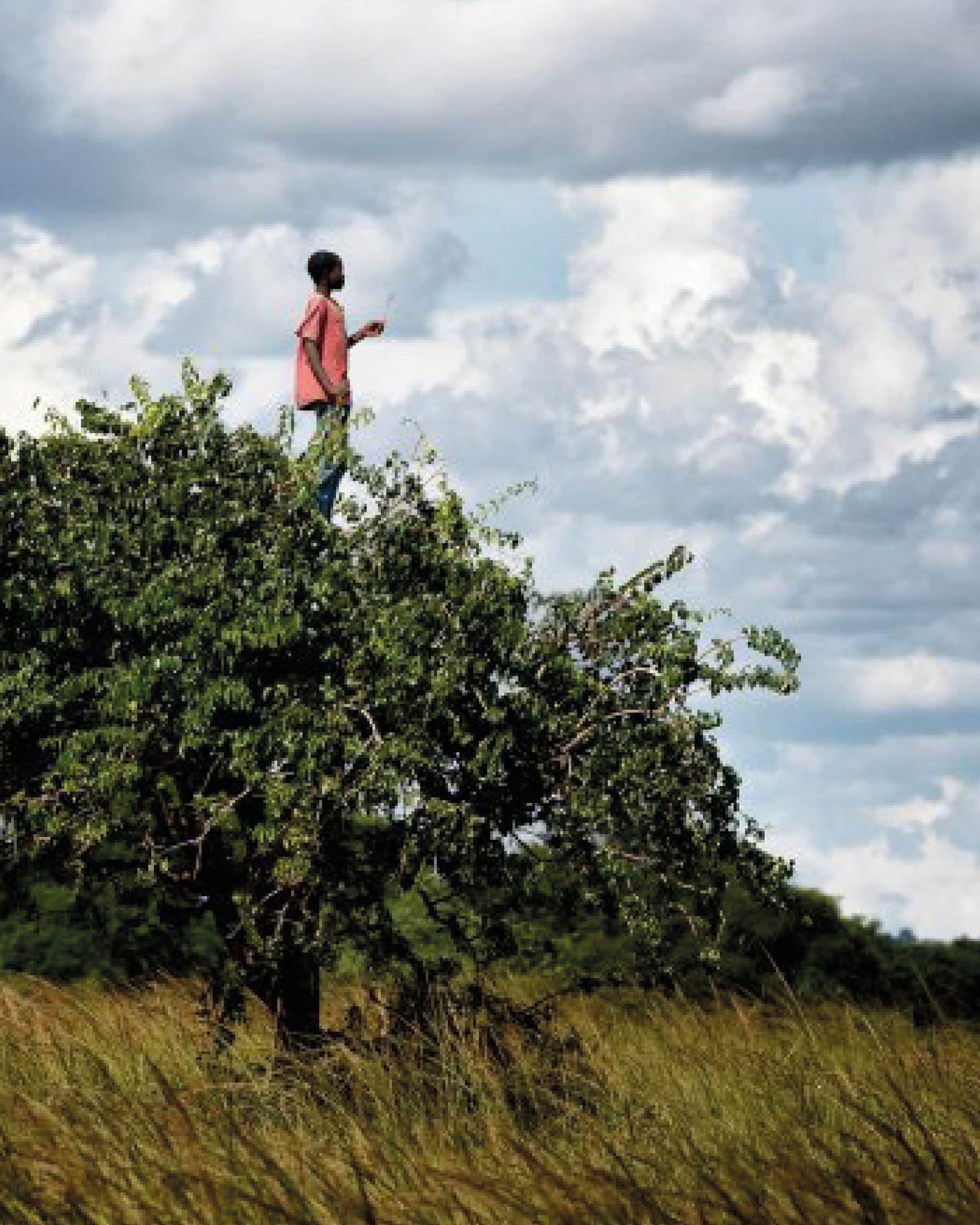 LE PRINTEMPS DES POETES WEB