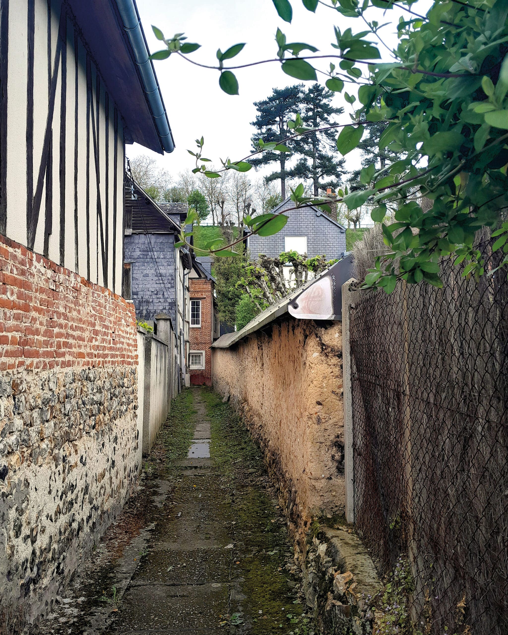 PATRIMOINE-ruelles et venellles WEB