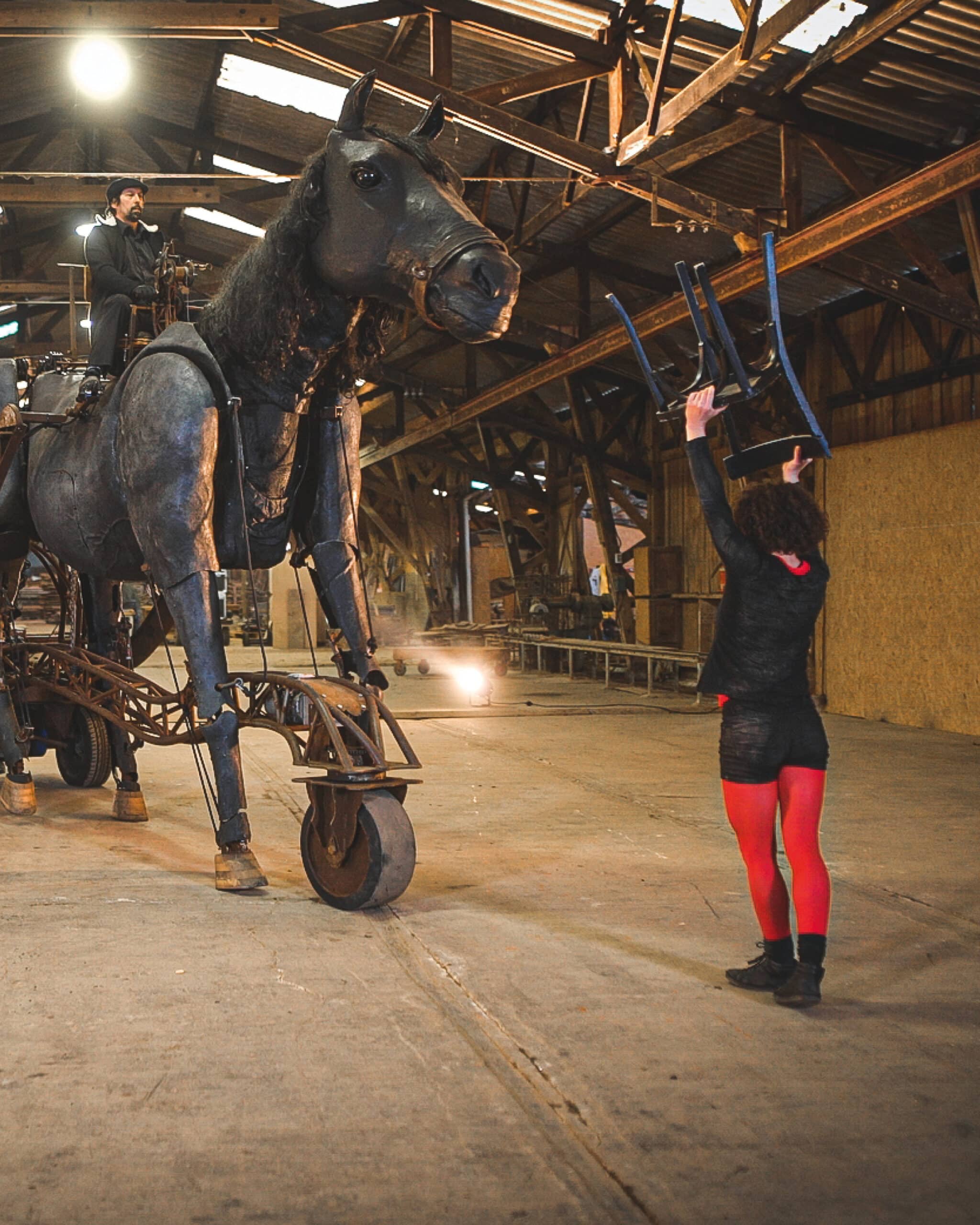 Image CHEVAL WEB