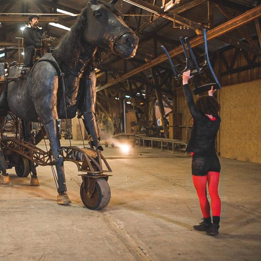 Image CHEVAL WEB