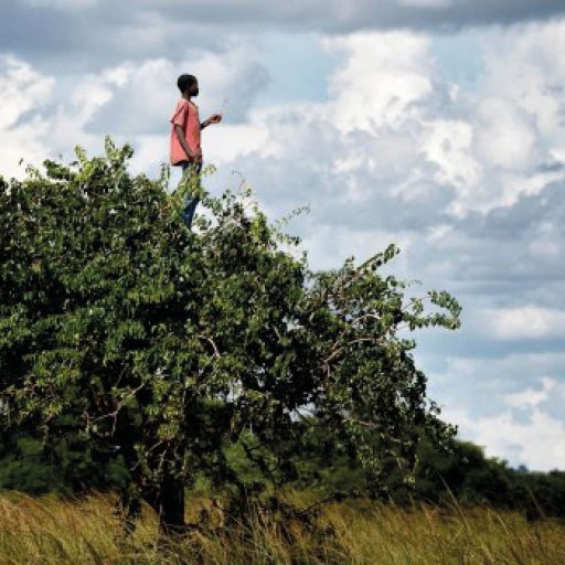 LE PRINTEMPS DES POETES WEB